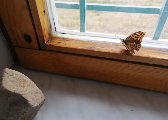 Koeveshegy Тапольца